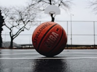 NBA篮球比分 凯尔特人vs雄鹿